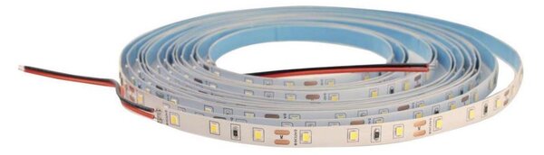 Banda LED reglabilă DAISY 5m alb rece