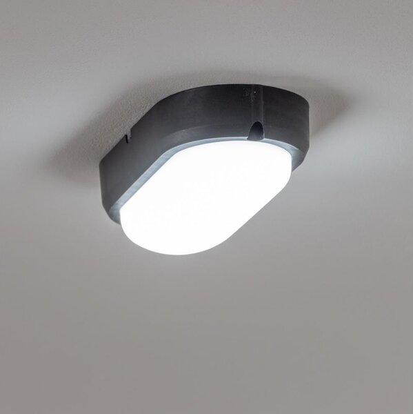 Brilagi - Plafonieră industrială LED SIMA LED/12W/230V IP65 negru