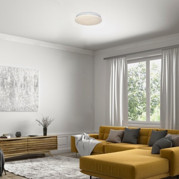 Rabalux 71101 - Plafonieră LED VENDEL LED/12W/230V 3000K 25 cm