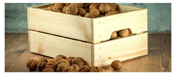 Tablou - Natură moartă de toamnă cu nuci (120x50 cm)