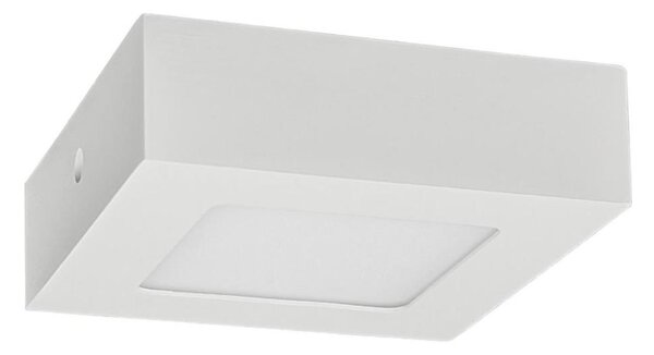 Plafonieră LED FENIX LED/6W/230V 2800K 12 cm