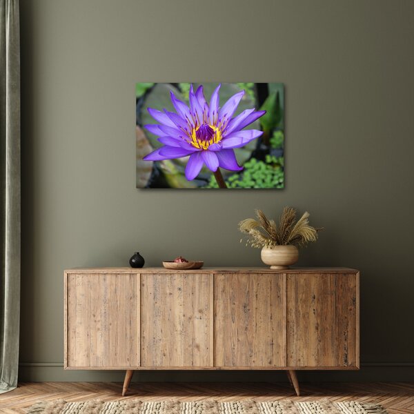 Tablou - Floare violet (70x50 cm)