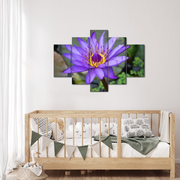 Tablou - Floare violet (150x105 cm)