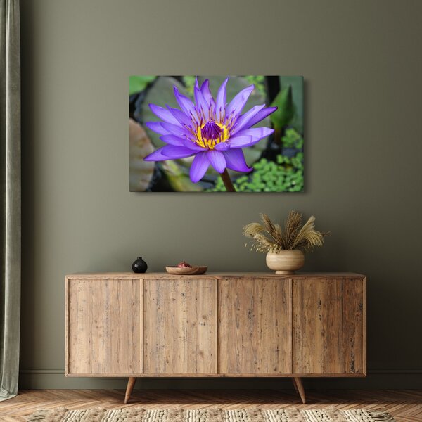 Tablou - Floare violet (90x60 cm)