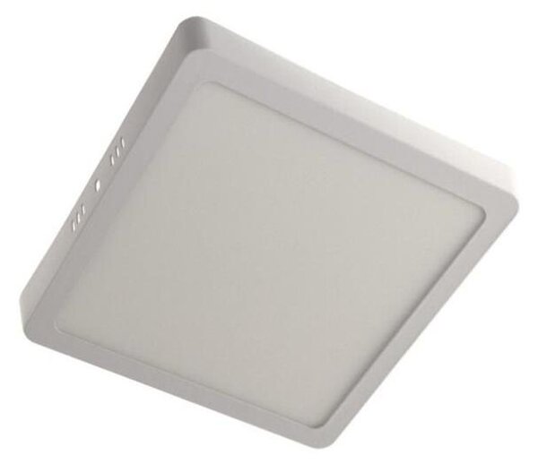 Plafonieră LED GERRY LED/12W/230V 3000K alb