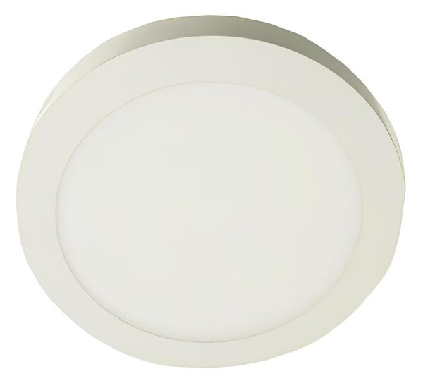 Plafonieră LED GERRIT LED/12W/230V 4000K alb