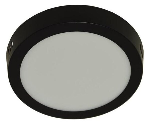Plafonieră LED GERRIT LED/12W/230V 4000K negru