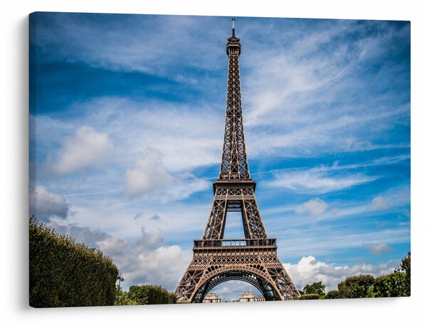 Tablou - Turnul Eiffel (70x50 cm)