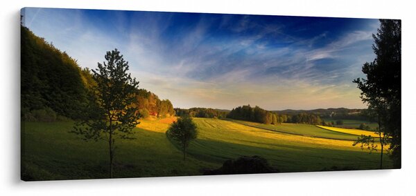 Tablou - Lunca de munte (120x50 cm)