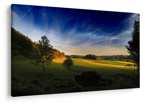 Tablou - Lunca de munte (90x60 cm)