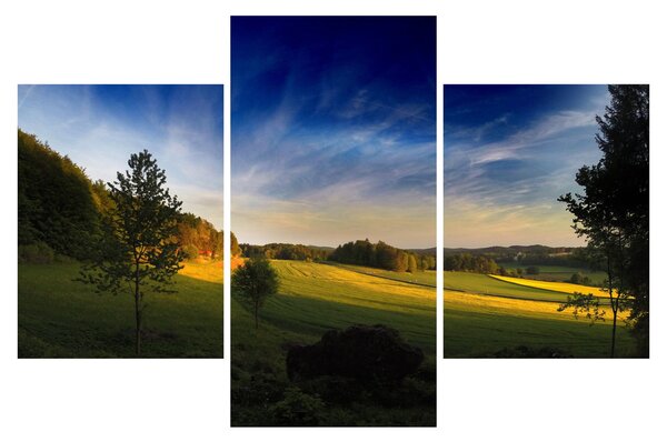 Tablou - Lunca de munte (90x60 cm)