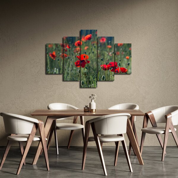 Tablou - Lunca cu maci (150x105 cm)