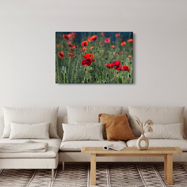 Tablou - Lunca cu maci (90x60 cm)