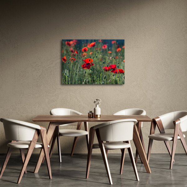 Tablou - Lunca cu maci (70x50 cm)