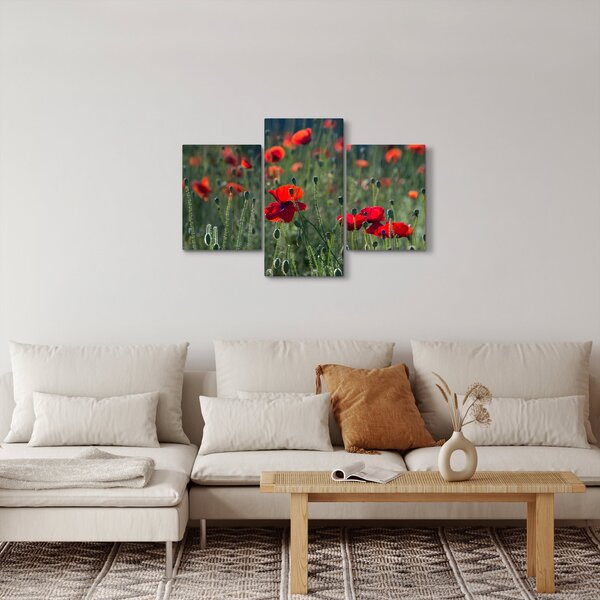 Tablou - Lunca cu maci (90x60 cm)