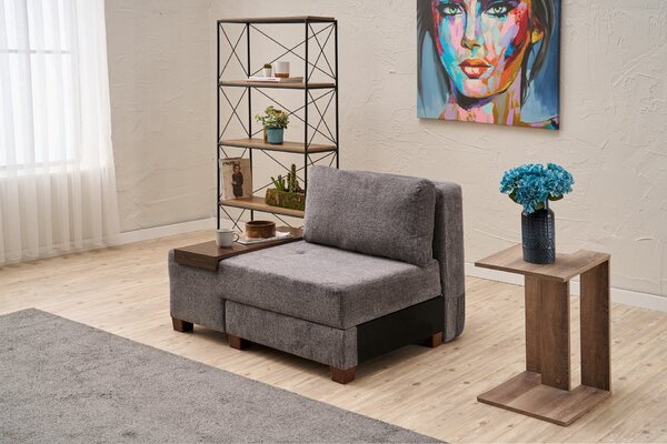 Atelier Del Sofa, Fotoliu extensibil Aiyla gri 116/93/83 cm