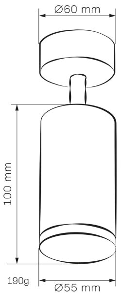 Spot pentru baie TURYN 1xGU10/10W/230V IP44 alb