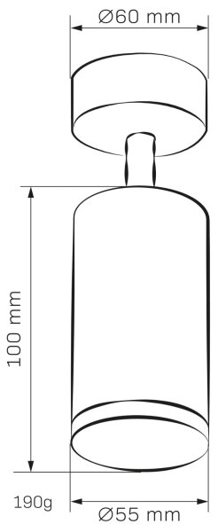 Spot pentru baie TURYN 1xGU10/10W/230V IP44 negru