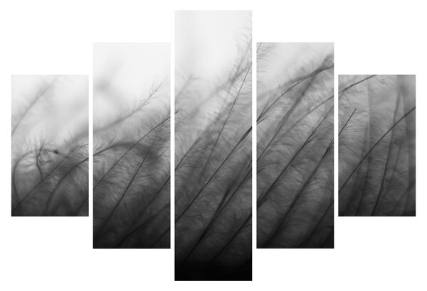 Tablou - Iarba în vânt (150x105 cm)