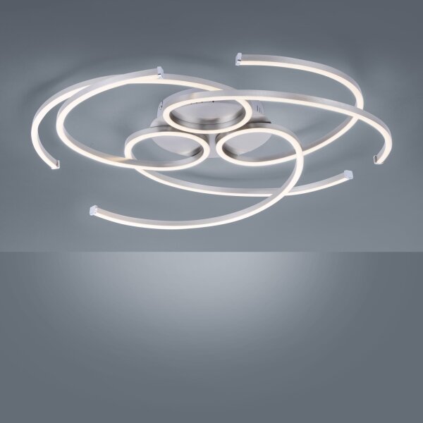 Paul Neuhaus 8165-55 - LED Plafonieră dimmabilă DANILO 3xLED/12W/230V