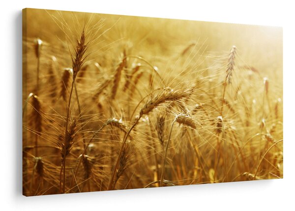 Tablou - Spice de cereale (90x60 cm)