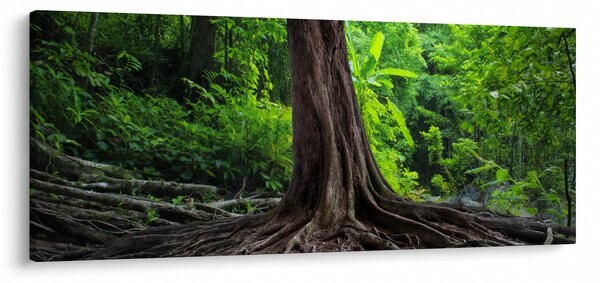 Tablou - Copac bătrîn cu rădăcini (120x50 cm)