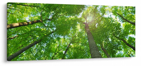 Tablou - Lunca (120x50 cm)