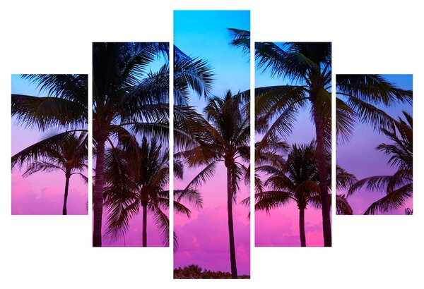 Tablou - Palmieri din Miami (150x105 cm)