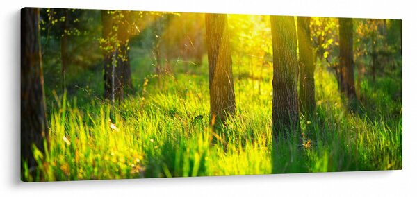 Tablou - Trezirea de primăvară a pădurii (120x50 cm)