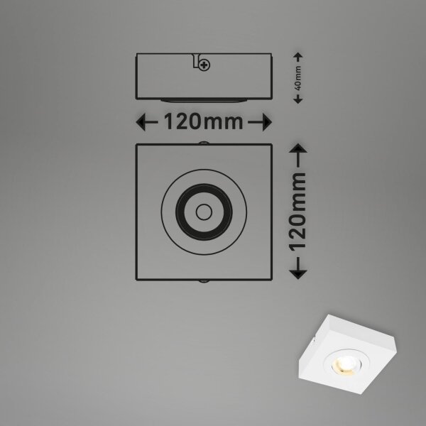 Spot LED Briloner 3996016 CTS LED/4W/230V 2700/4000K alb