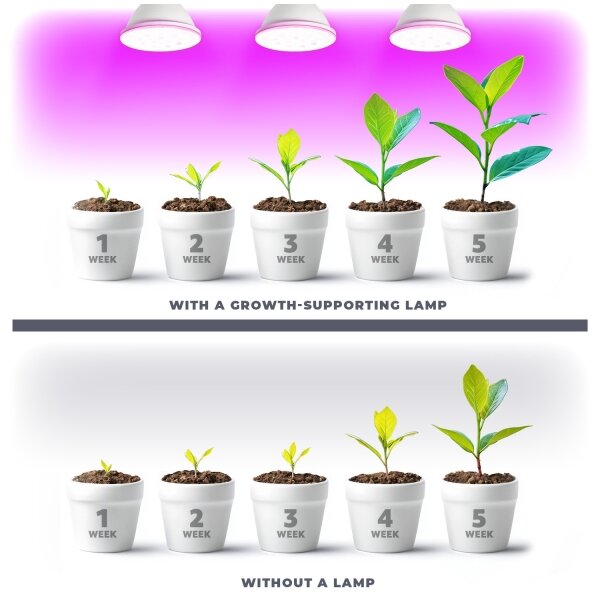 Bec LED pentru creșterea plantelor Brilagi VITABLOOM E27/9W/230V 1200K alb