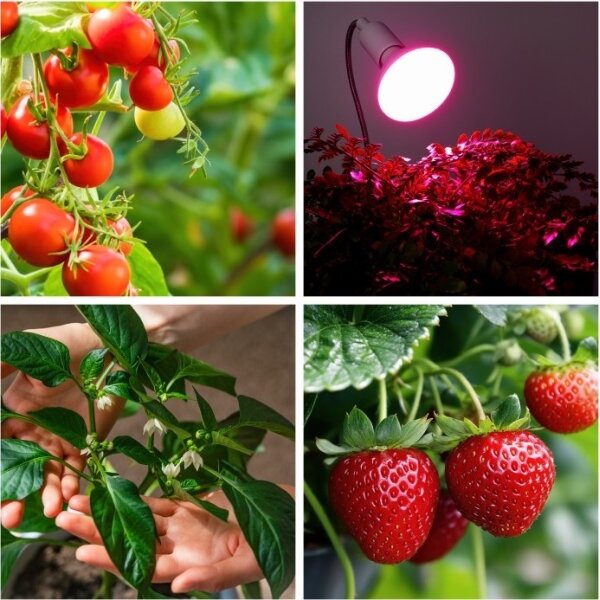 Lampă flexibilă de masă cu clemă PLANTY 1xE27/30W/230V alb