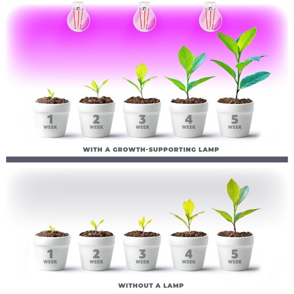Bec LED pentru creșterea plantelor Brilagi VITABLOOM E27/8W/230V 1200K