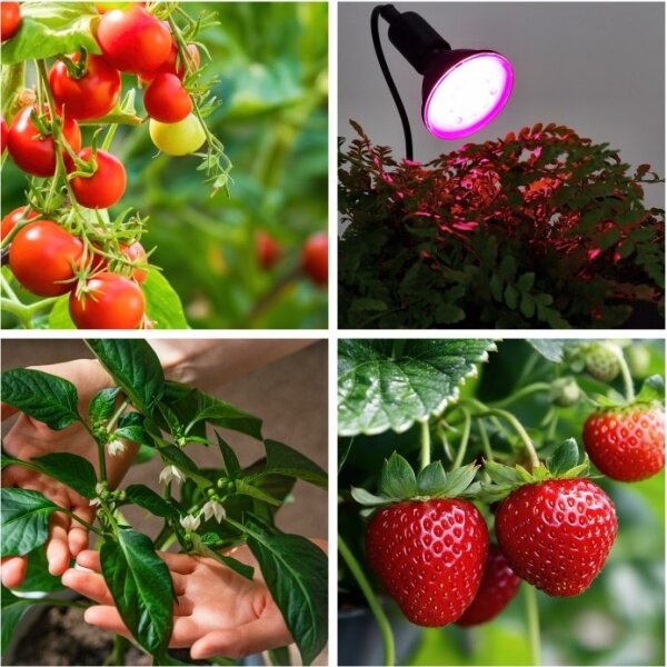 Lampă flexibilă de masă cu clemă PLANTY 1xE27/30W/230V negru