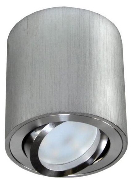 Spot FEBE 1xGU10/30W/230V crom mat