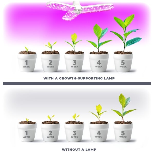 Bec LED pentru creșterea plantelor PLANTY E27/24W/230V 1200K