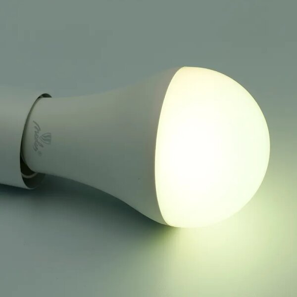 Bec LED RGBW dimabil A60 E27/15W/230V 2700-6500K Wi-Fi Tuya
