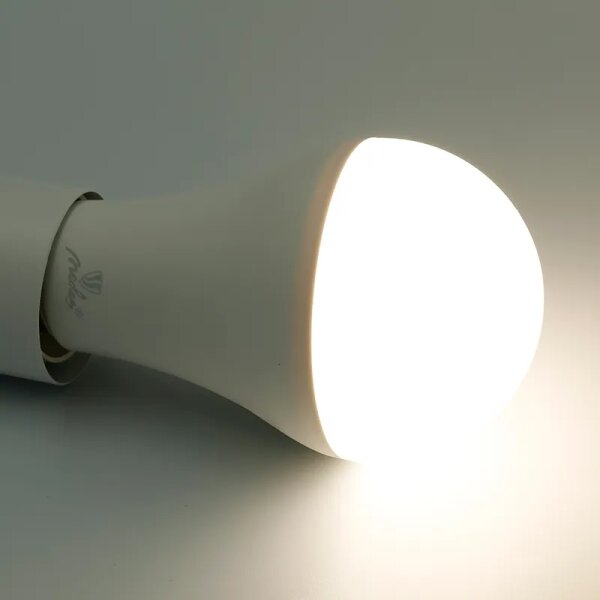 Bec LED RGBW dimabil A60 E27/15W/230V 2700-6500K Wi-Fi Tuya