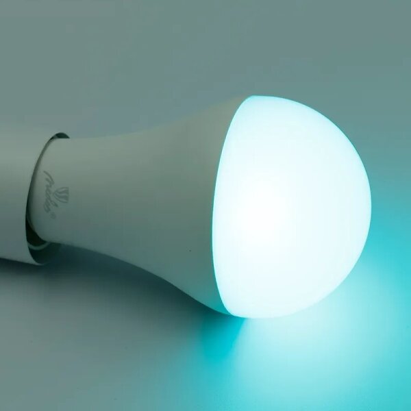 Bec LED RGBW dimabil A60 E27/15W/230V 2700-6500K Wi-Fi Tuya