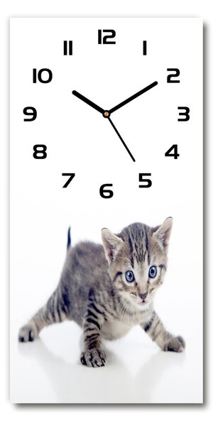 Ceas de sticlă pe perete vertical Pisica mica