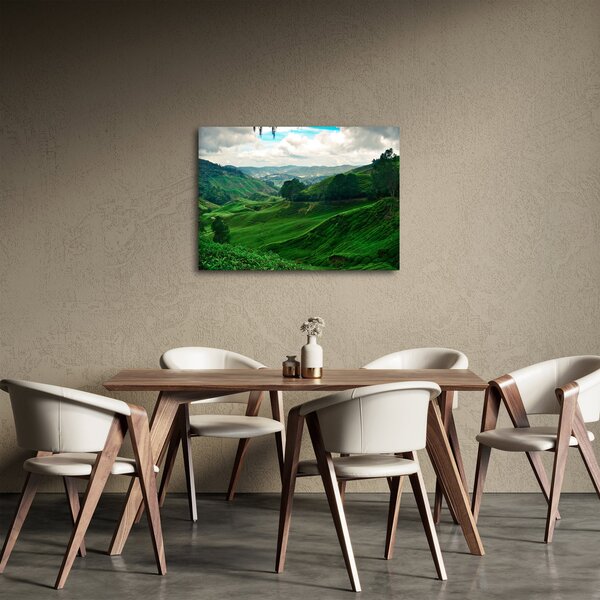 Tablou Plantații de ceai - Malaezia (70x50 cm)