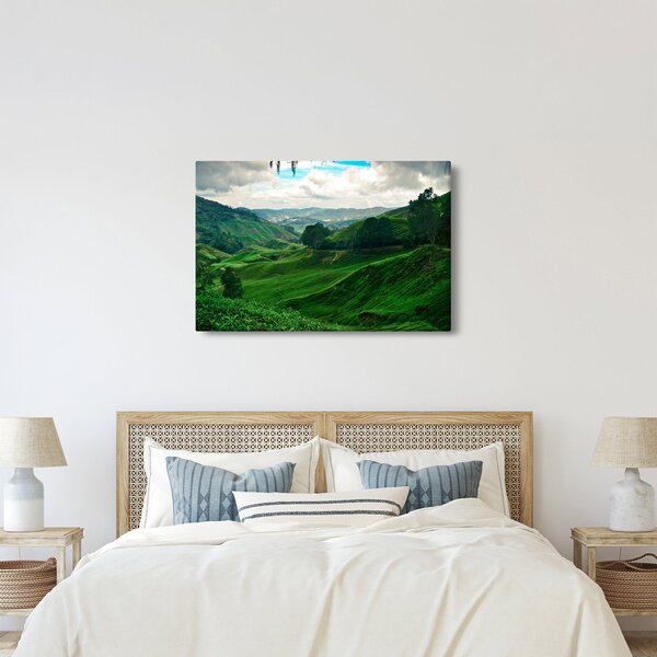 Tablou Plantații de ceai - Malaezia (90x60 cm)
