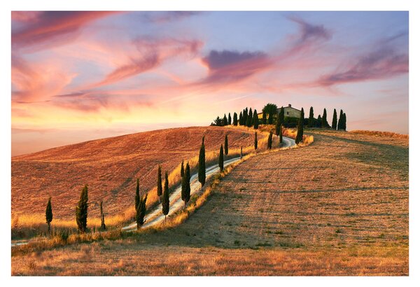Tablou - Casa pe deal Toscana, Italia (90x60 cm)