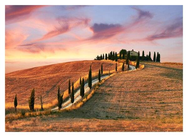 Tablou - Casa pe deal Toscana, Italia (70x50 cm)