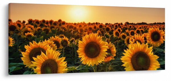 Tablou - Floarea soarelui (120x50 cm)