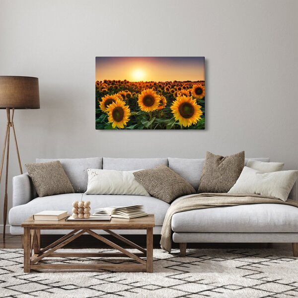 Tablou - Floarea soarelui (90x60 cm)