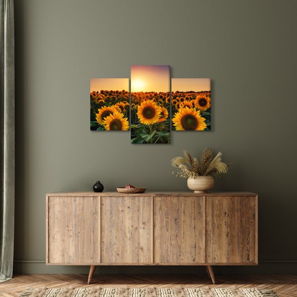Tablou - Floarea soarelui (90x60 cm)