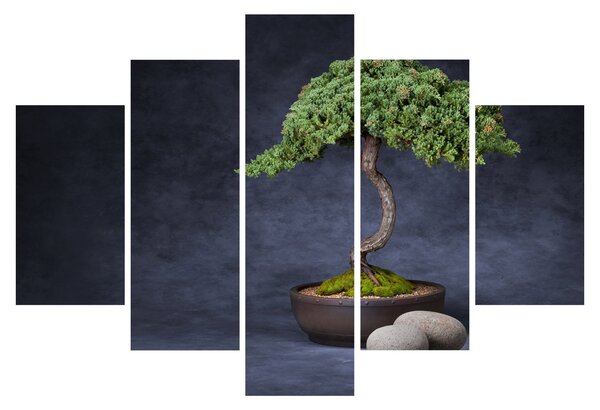Tablou - Bonsai (150x105 cm)