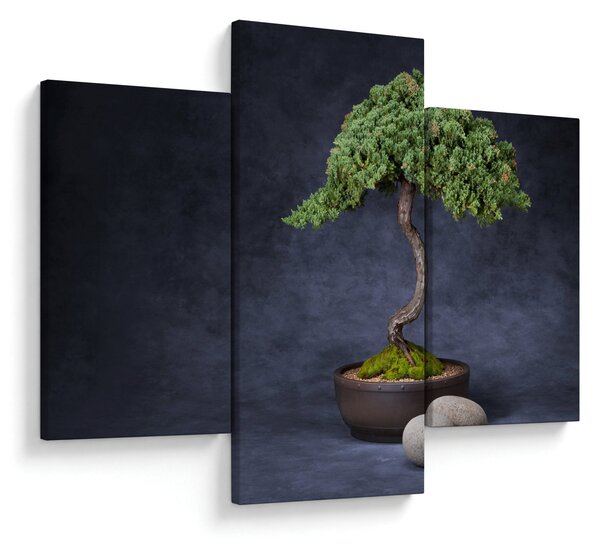 Tablou - Bonsai (90x60 cm)