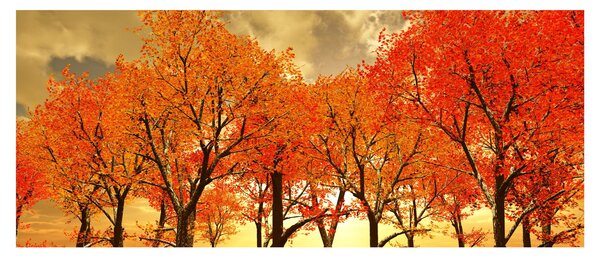 Tablou - Toamna (120x50 cm)